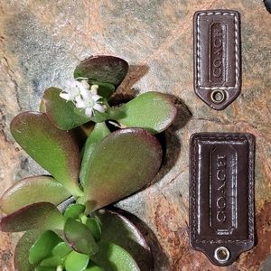 COACH | Leather Hang Tag Lot (×2) - Brown